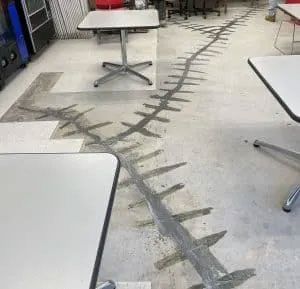 Concrete floor with painted, dark-gray line; tables with white tops are set around it.