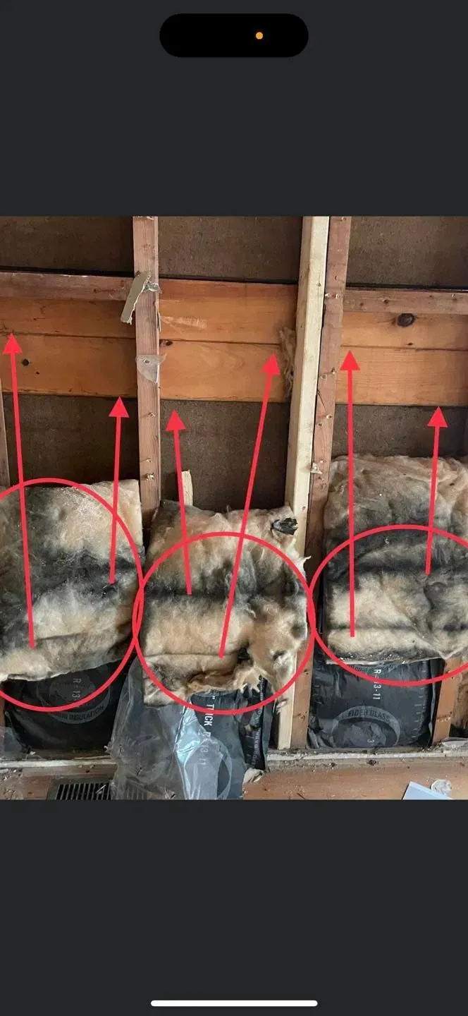 Insulation between wooden beams, marked with red circles and arrows, likely indicating mold or damage.