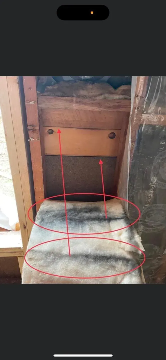 An enclosed space with wooden structures; insulation material with dark patches suggests mold.