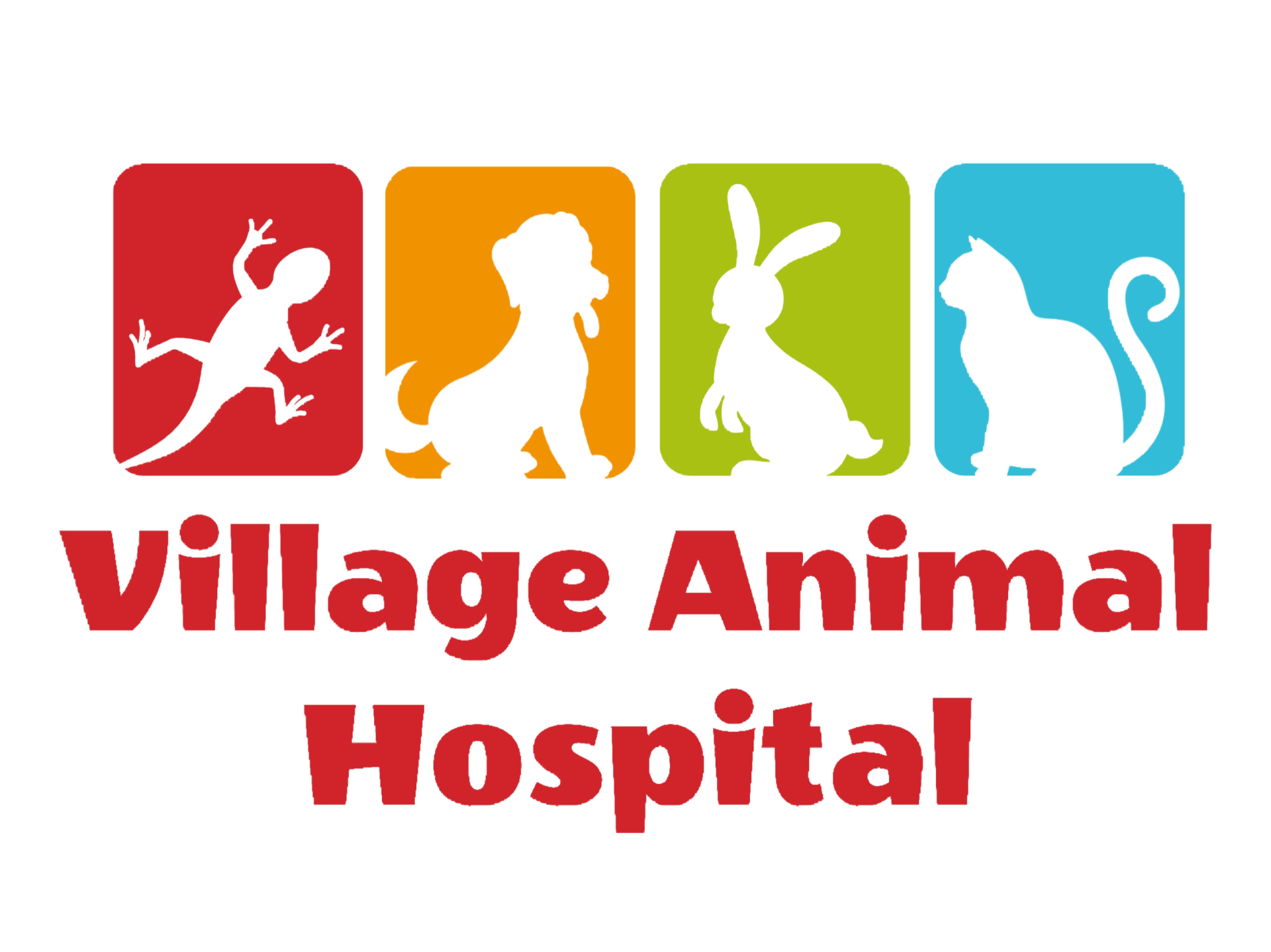 Village Animal Hospital logo