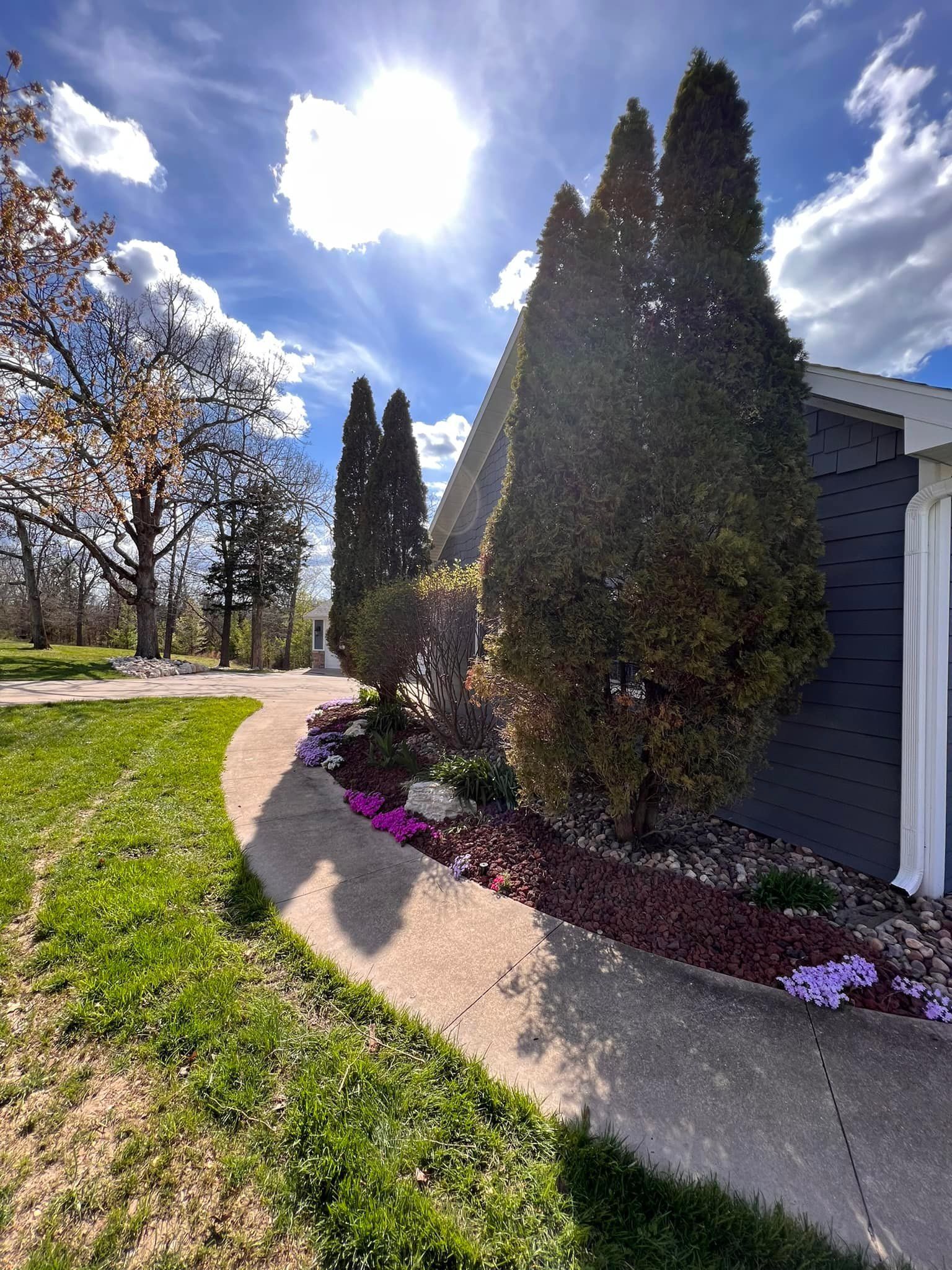 Pathway curves past evergreen trees, purple flowers, and a house on a sunny day.
