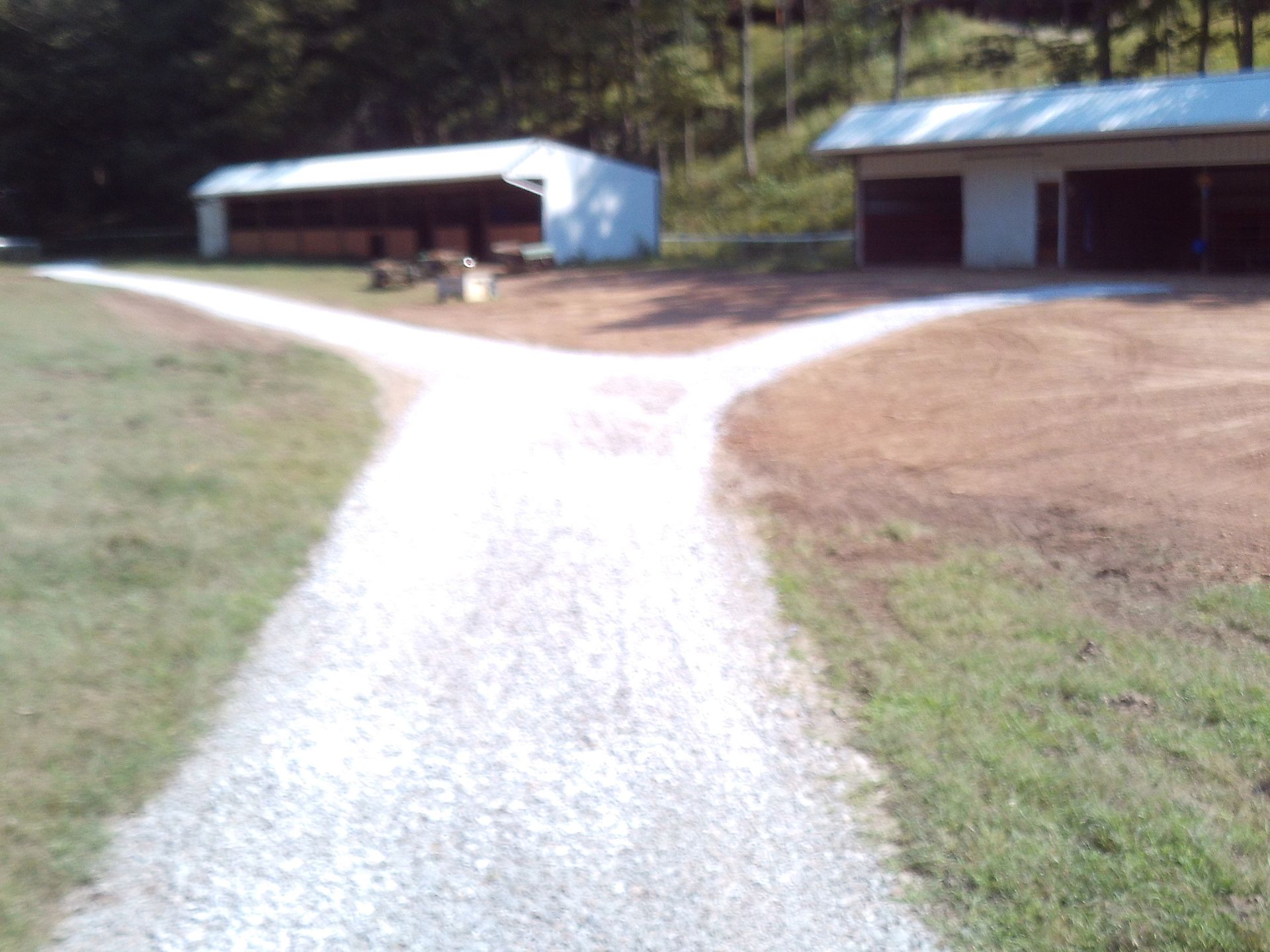 Gravel path leading to two white barns in a grassy rural area