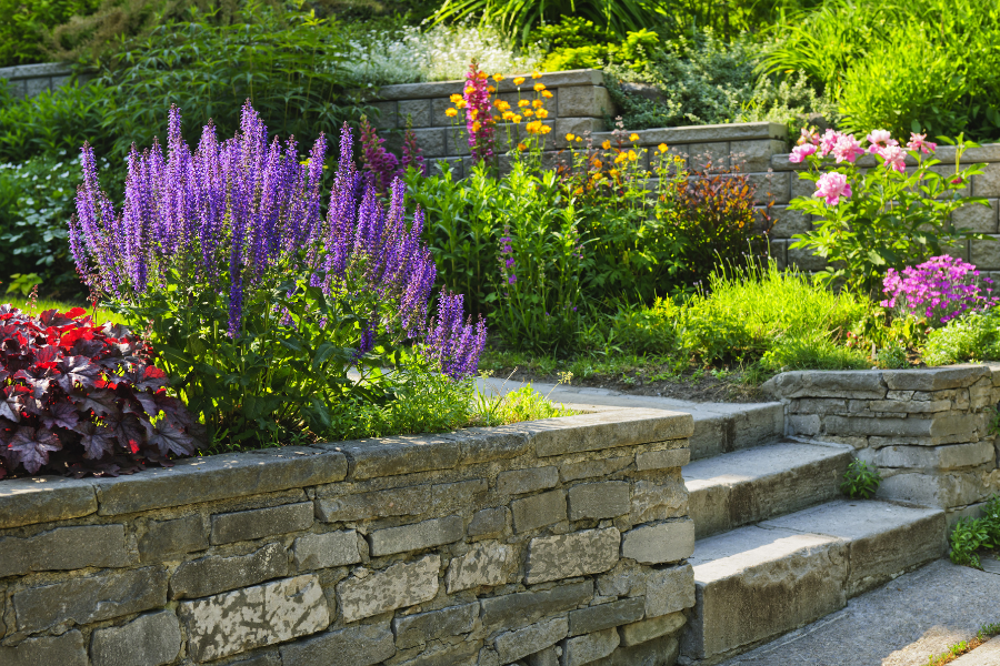 Native Missouri blooms