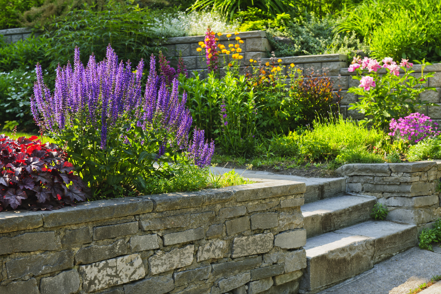 A Guide to Best Landscaping Plants for Missouri