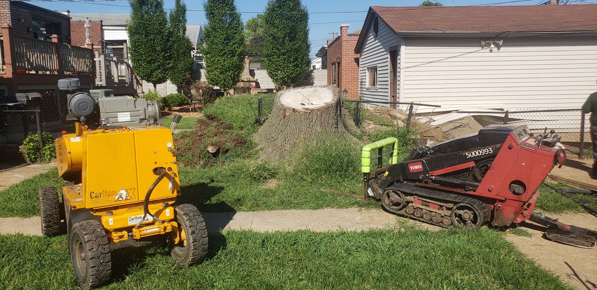 stump grinding