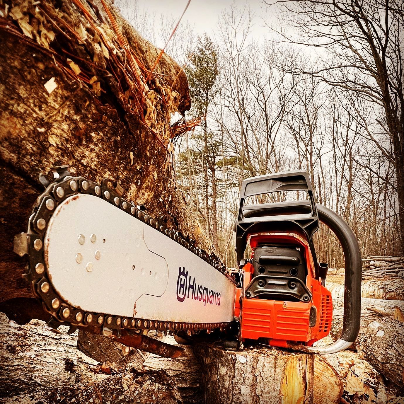 A bright orange Husqvarna chainsaw rests on a wooden log in a wooded area with trees in the background.
