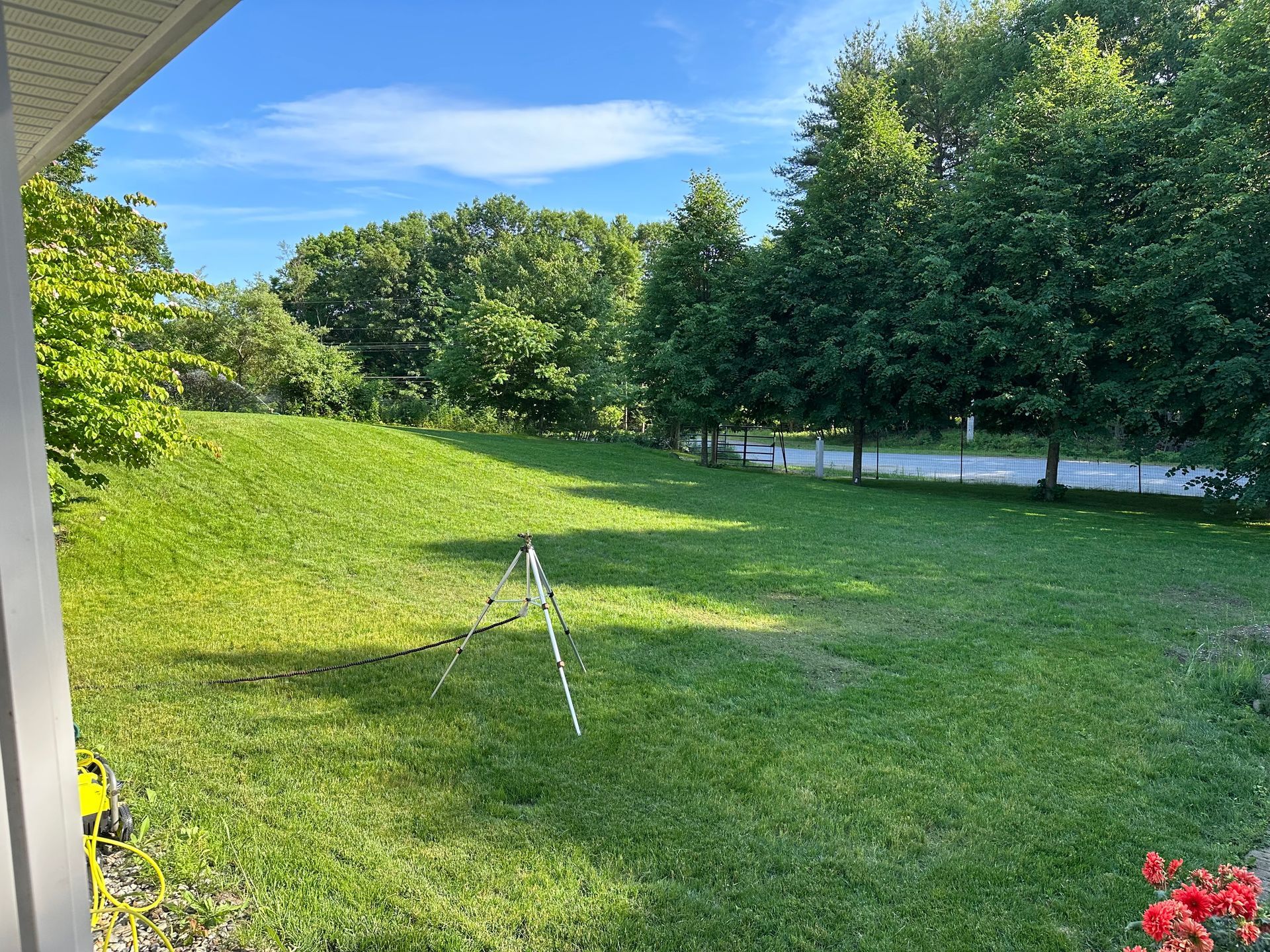 A sunny backyard with a gentle grassy slope, a tripod, and mature trees against a bright blue sky.