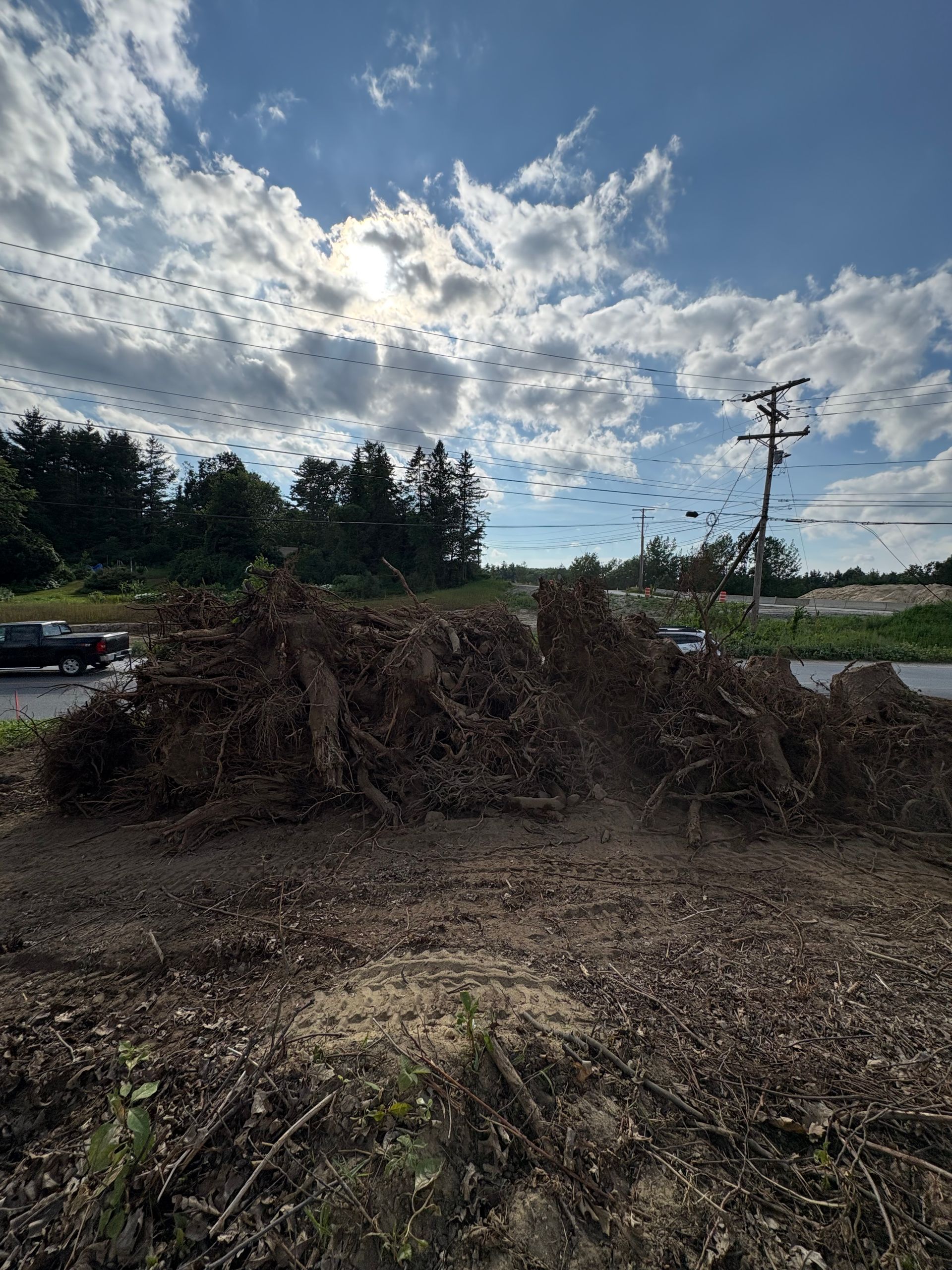 A large pile of uprooted tree stumps and debris sits on a dirt lot beneath a bright, cloudy sky and a utility pole.