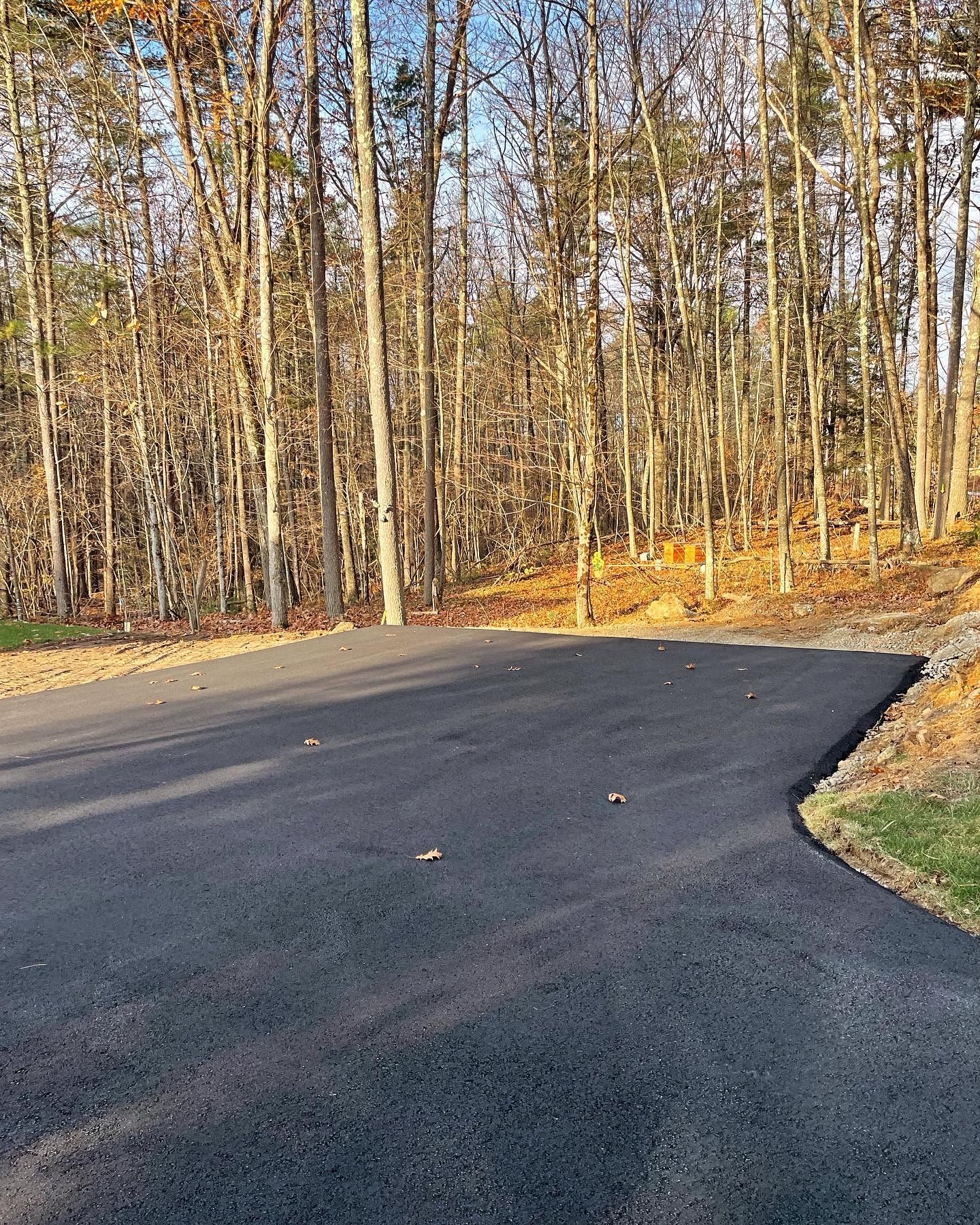 Newly paved asphalt driveway leading into a dense forest of tall, bare trees on a sunny day.