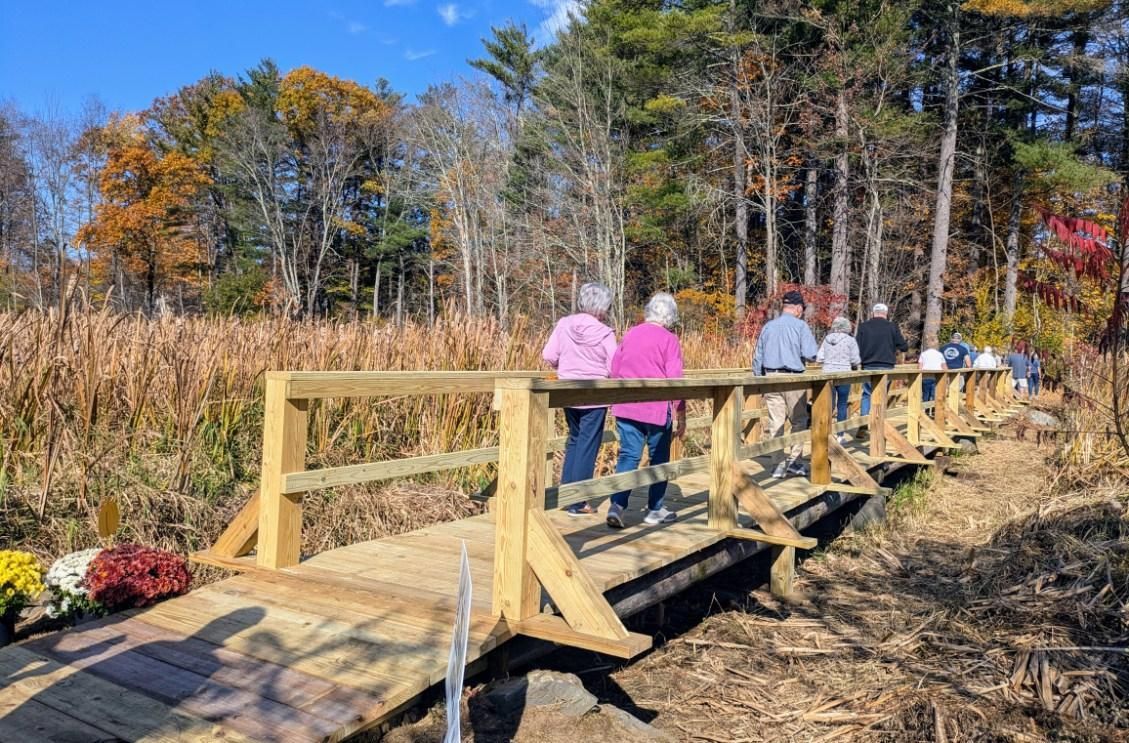 A group of people walks across a wooden boardwalk through an autumn cornfield towards a forested area.