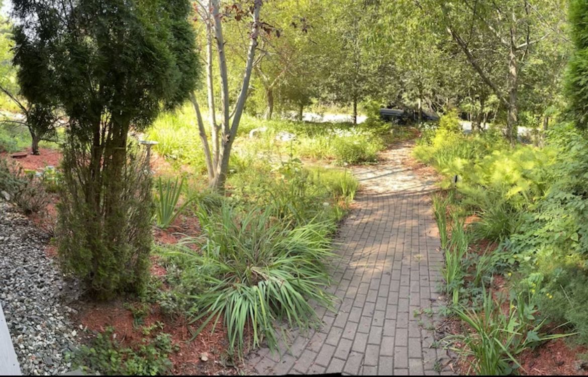 A stone brick path winds through a lush, green garden with trees, bushes, and mulch under dappled sunlight.