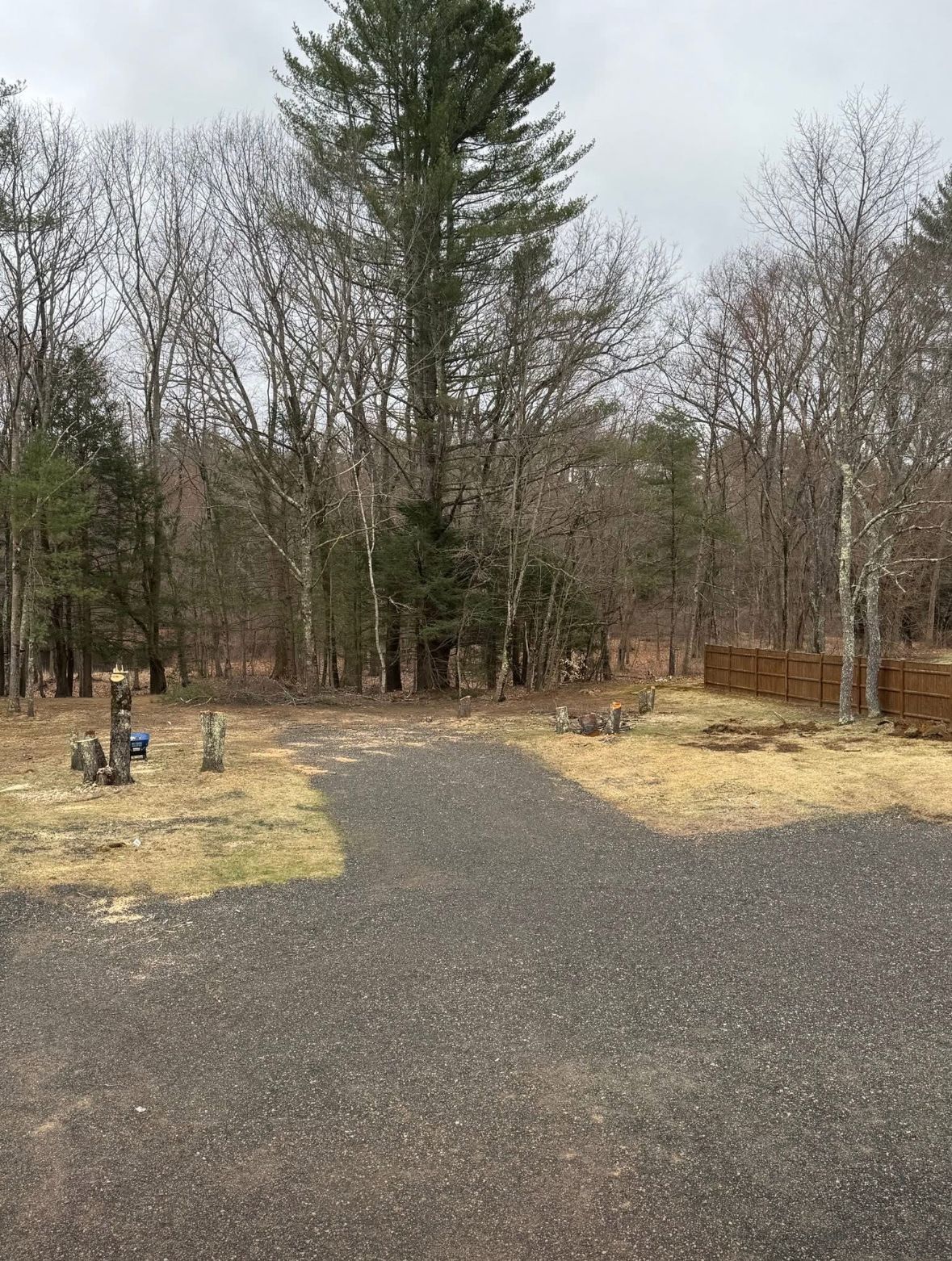 A gravel driveway leading toward a line of tall, bare trees in an outdoor setting on an overcast day.