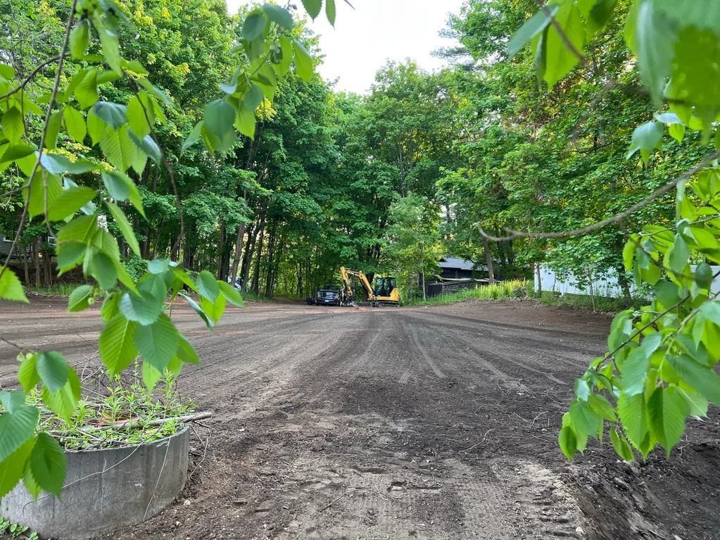 Tilled garden plot framed by trees and leafy branches. Green and brown tones dominate a sunny scene.