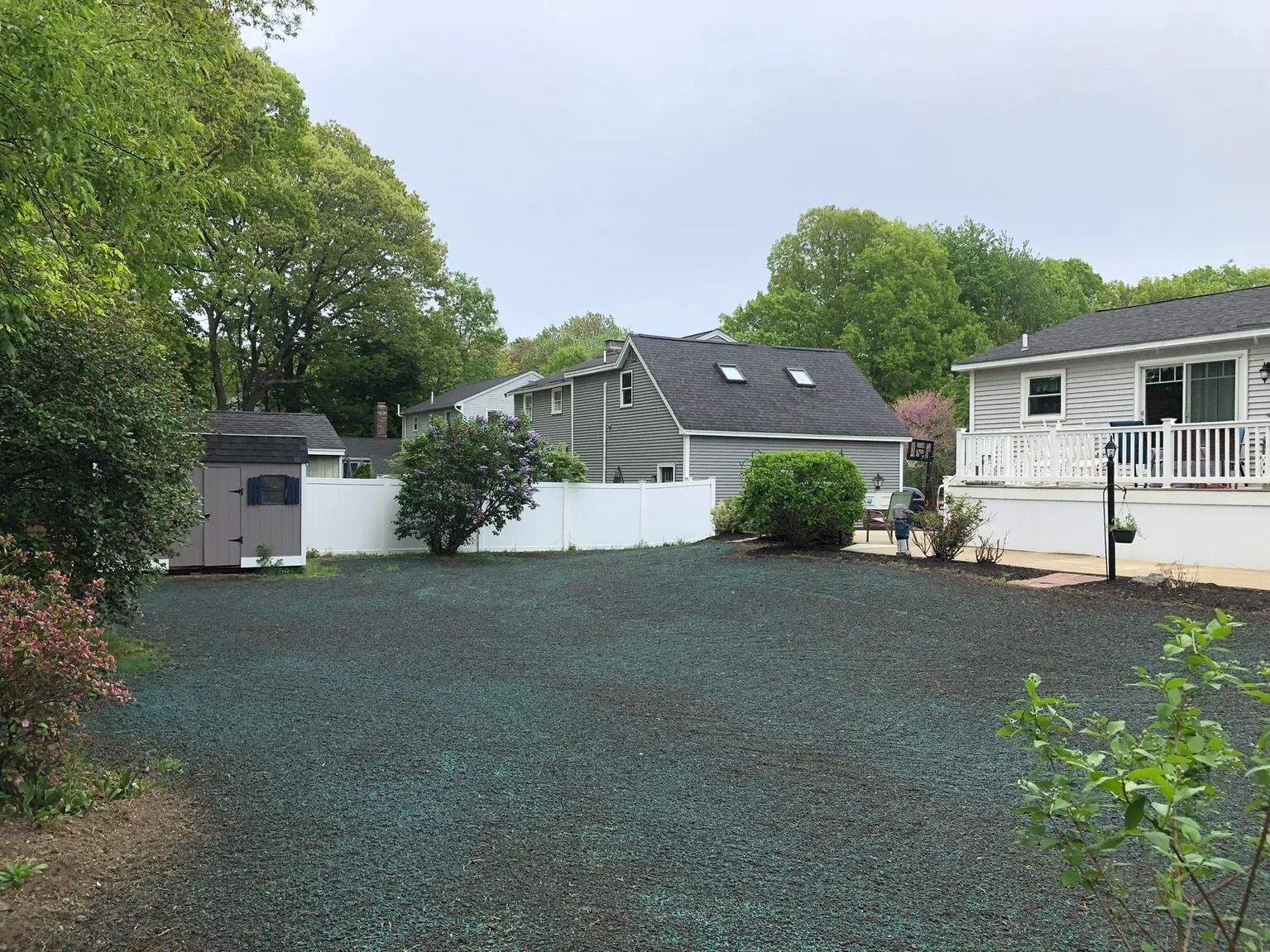 Backyard with green ground cover, white fence, shed, houses, and trees under overcast sky.