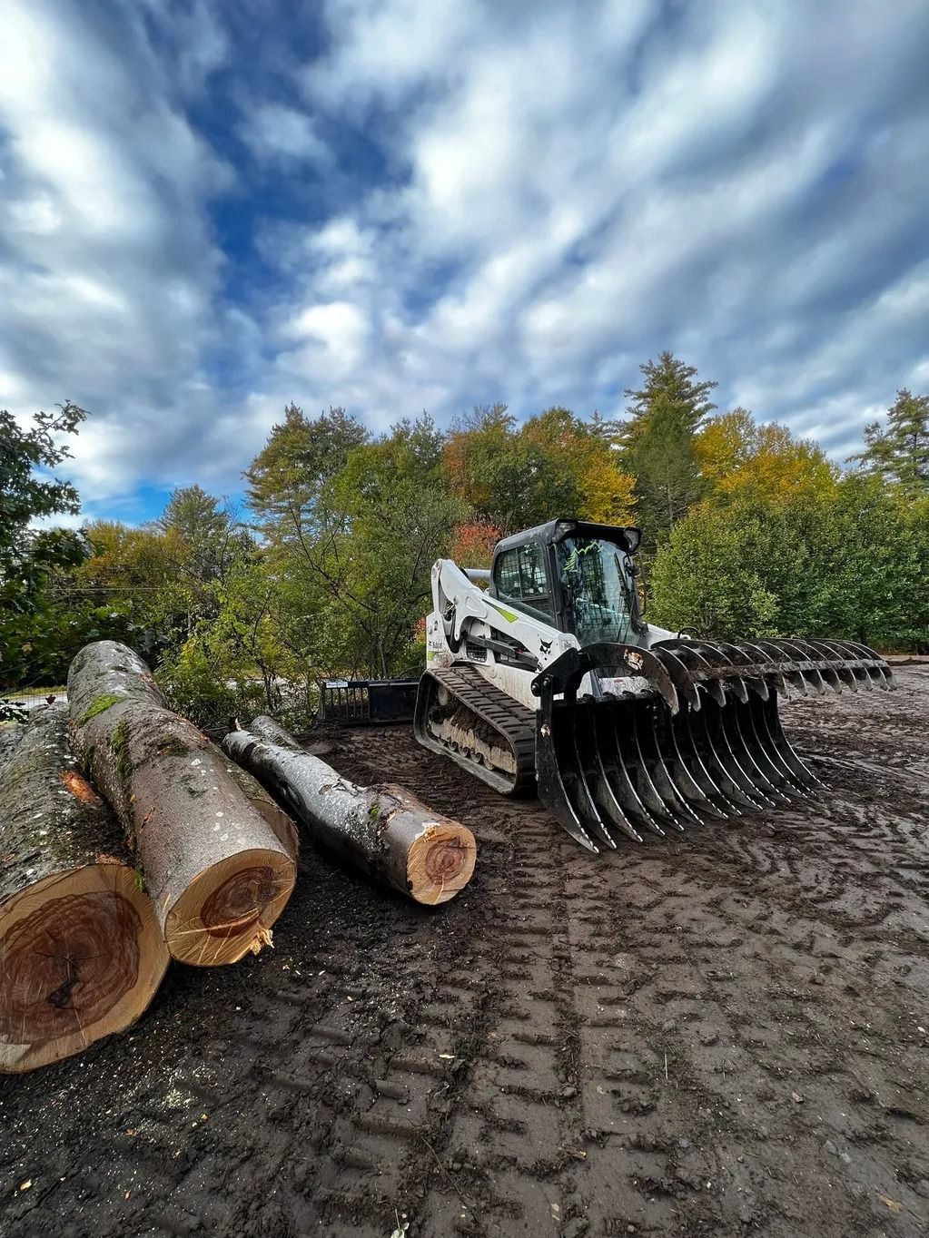 A skid steer with a grapple attachment and logs outdoors under a cloudy sky.