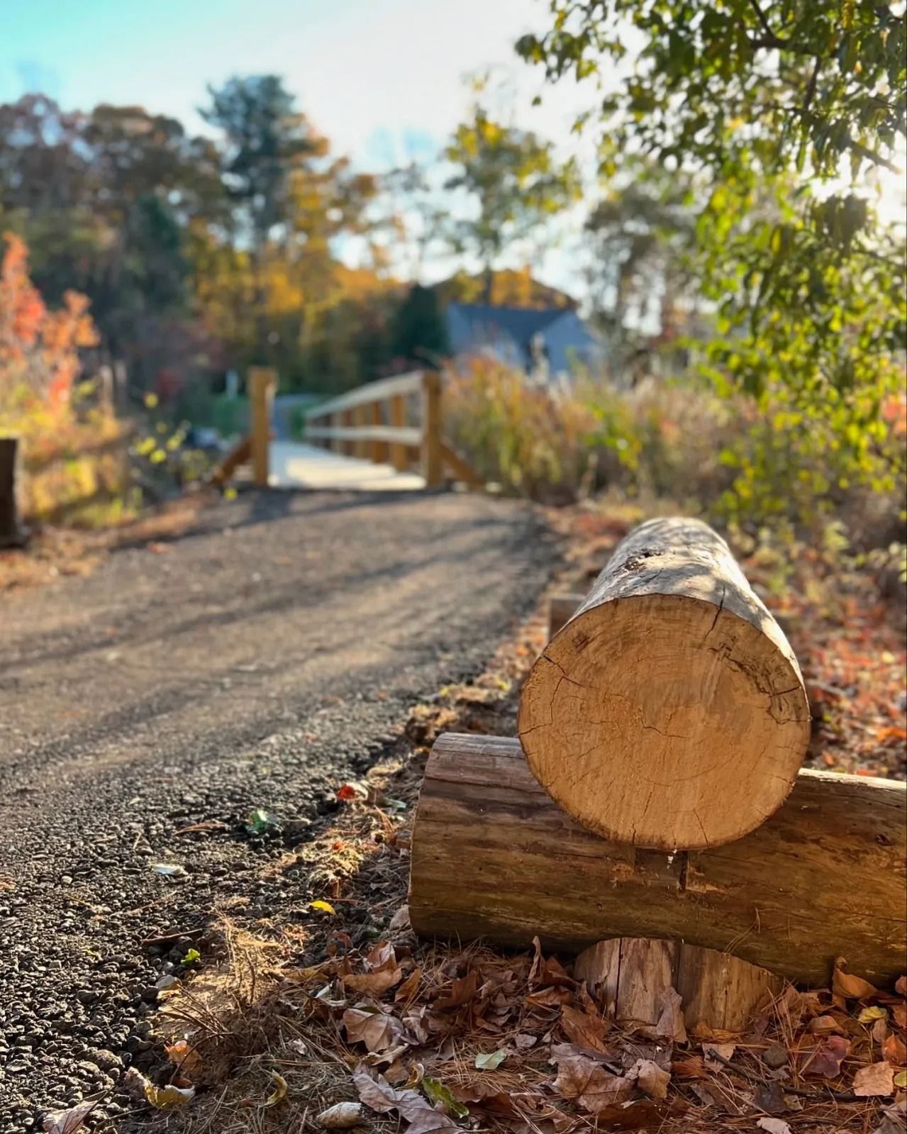 A trail with a log barrier leads to a wooden bridge in a sunny autumn setting.