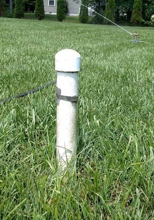 White sprinkler head in a grassy lawn spraying water in the background.