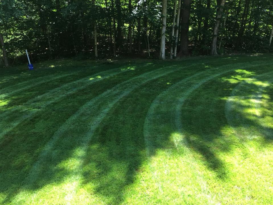 Lawn