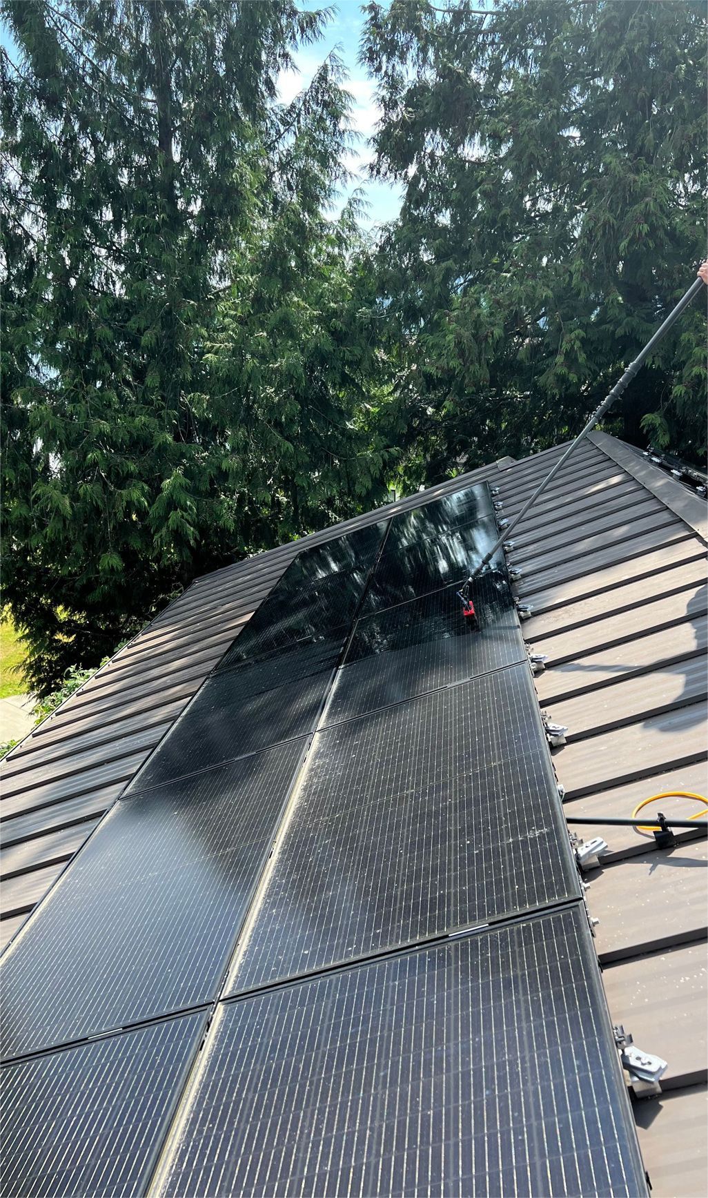 Solar panels on a rooftop are being cleaned with a long-handled brush, with trees in the background.