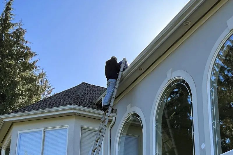 Gutter cleaning