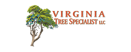 Virginia Tree Specialist - Logo