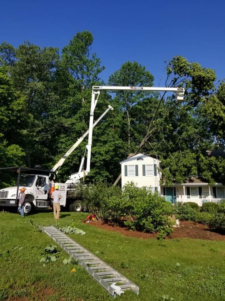 Land Clearing Service Charlottesville, VA | Culpeper, VA