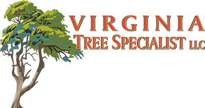 Virginia Tree Specialist - Logo