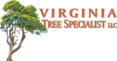 Virginia Tree Specialist - Logo