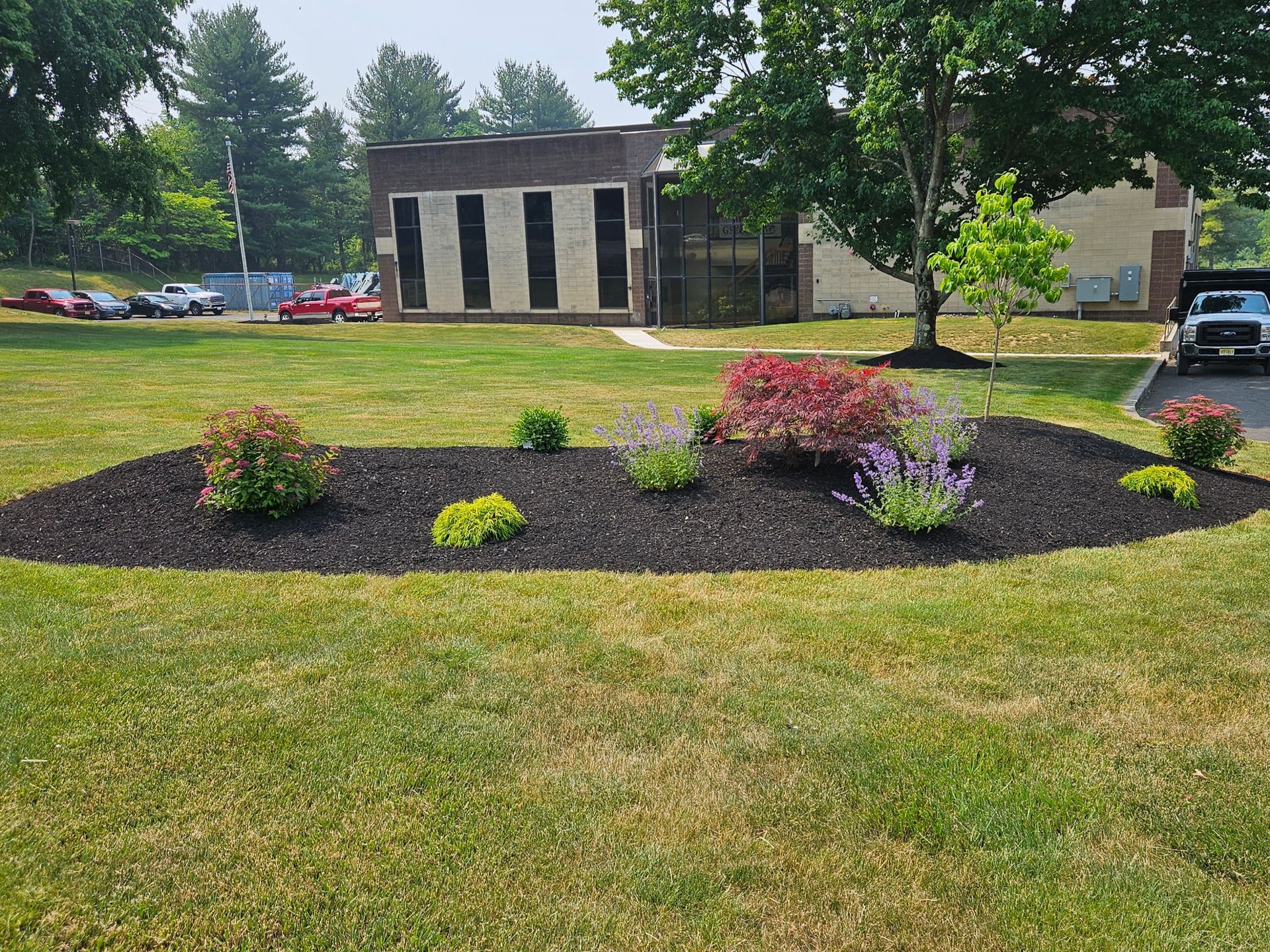 A landscaped garden bed with mulch, small shrubs, and flowering plants in front of a brick building on a sunny day.