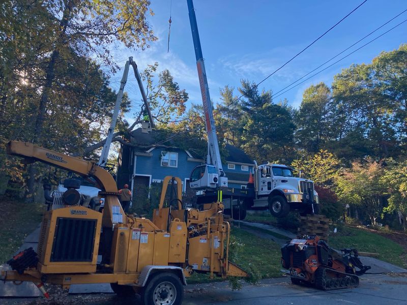 A yellow wood chipper, a crane truck, and a track loader parked on a residential driveway for tree removal services.