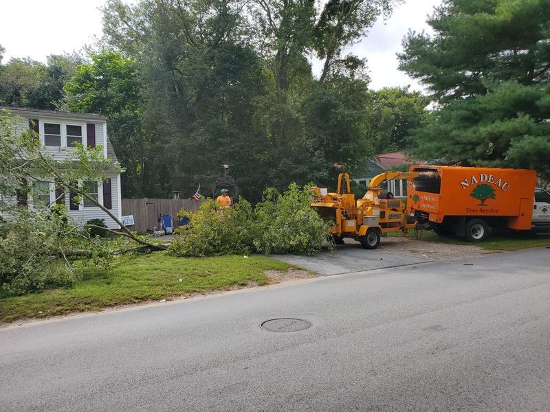 Tree workers use a wood chipper and truck to clear storm debris from a residential front yard.