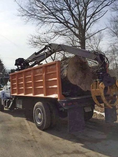 A grapple truck parked outdoors, using its crane and mechanical claw to load a large tree trunk into its orange dump bed.