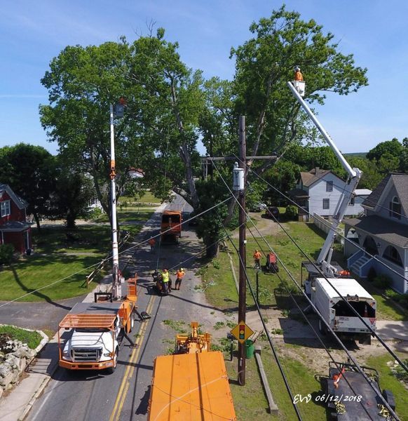 Utility trucks with extended booms trim tree branches near power lines in a residential street.