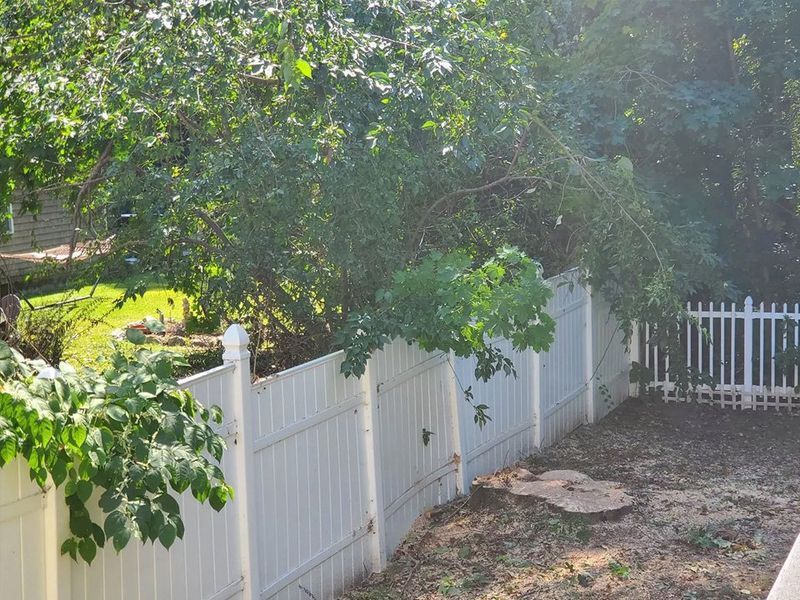 A sunny backyard scene featuring a white vinyl fence, green trees, a small patch of grass, and a tree stump on dirt.