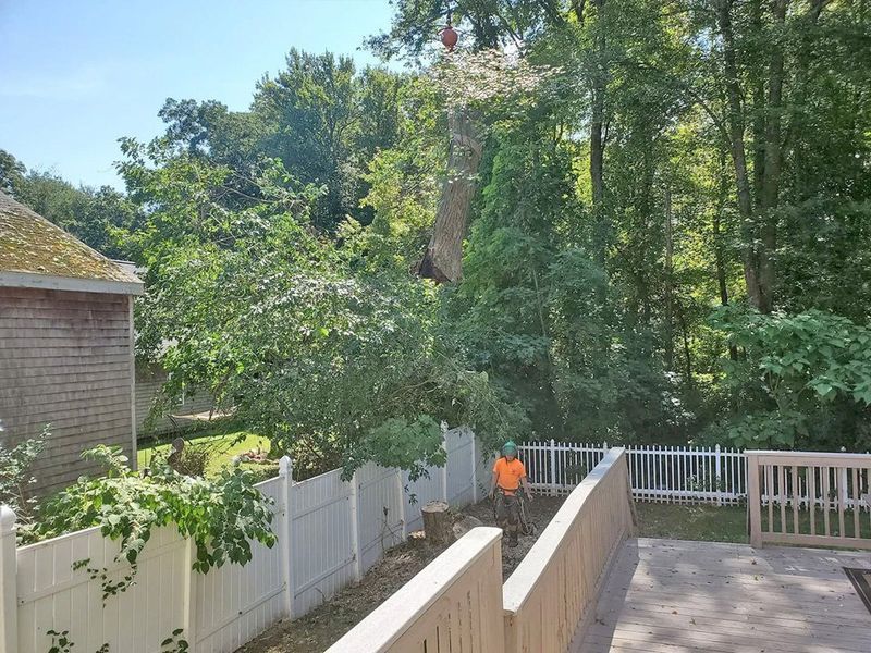 A worker in an orange shirt stands near a white fence while a crane lifts a large tree section in a residential yard.