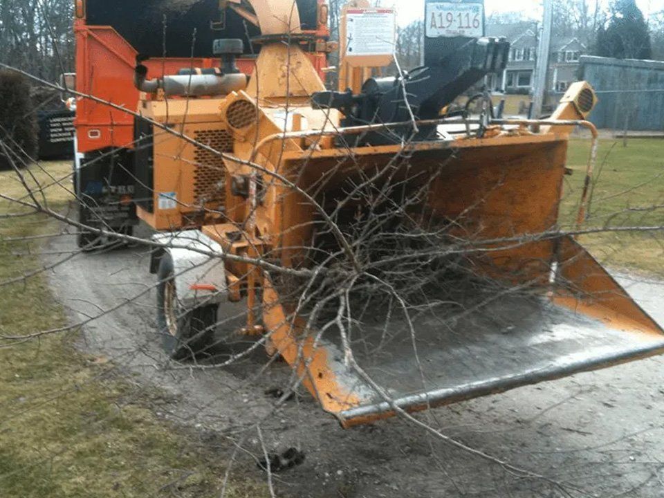 An orange wood chipper on a trailer parked on a driveway, with branches loaded into its intake hopper.