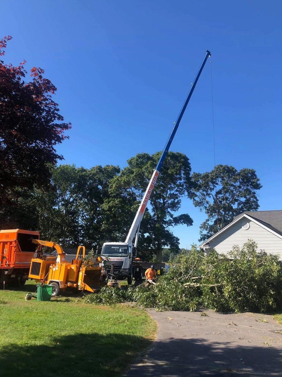 A large white crane lifts tree branches over a house, with an orange truck and wood chipper nearby on a grassy lot.
