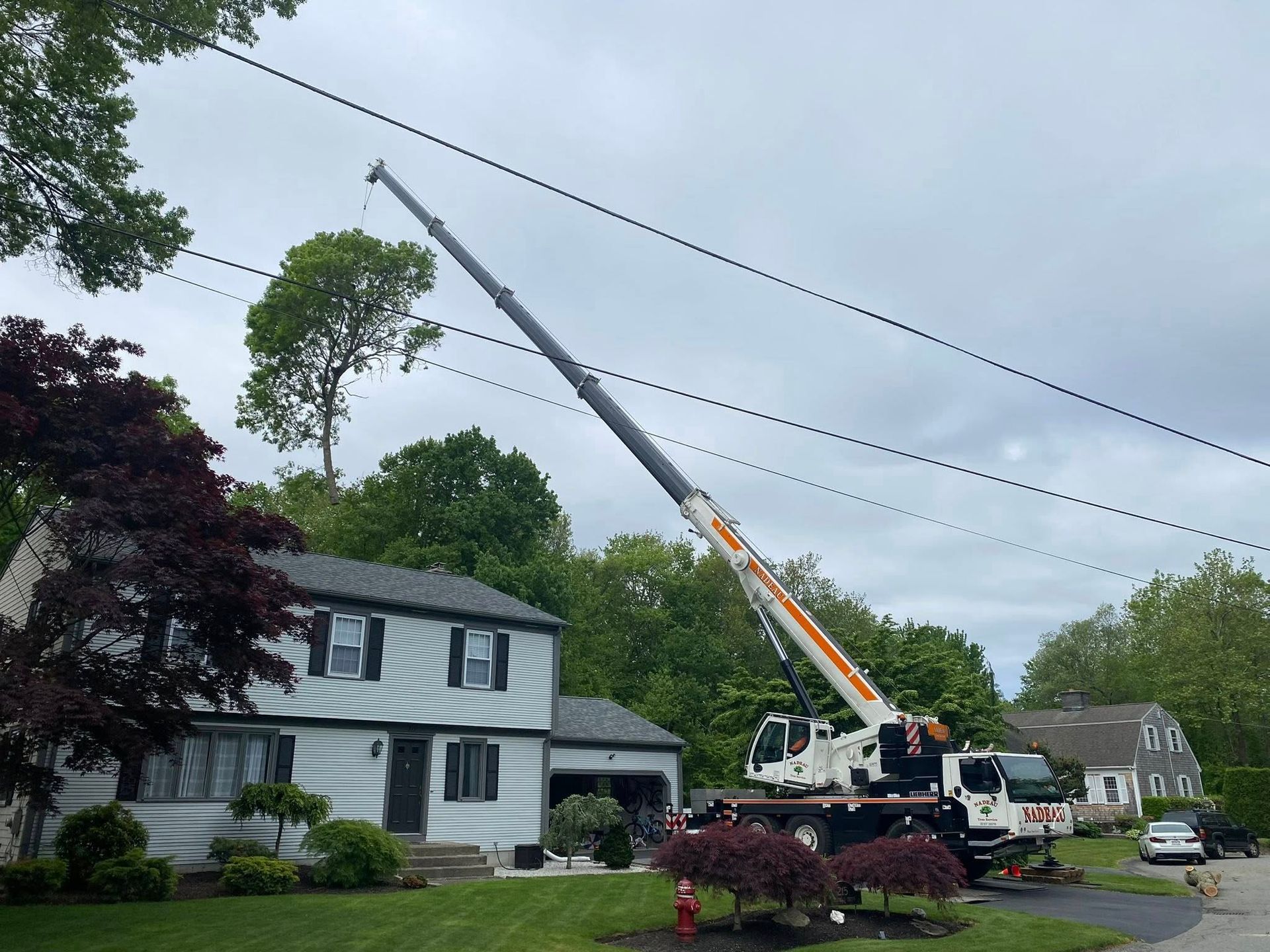 Nadeau Tree Service