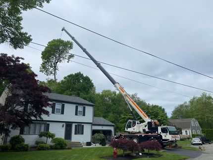 Nadeau Tree Service