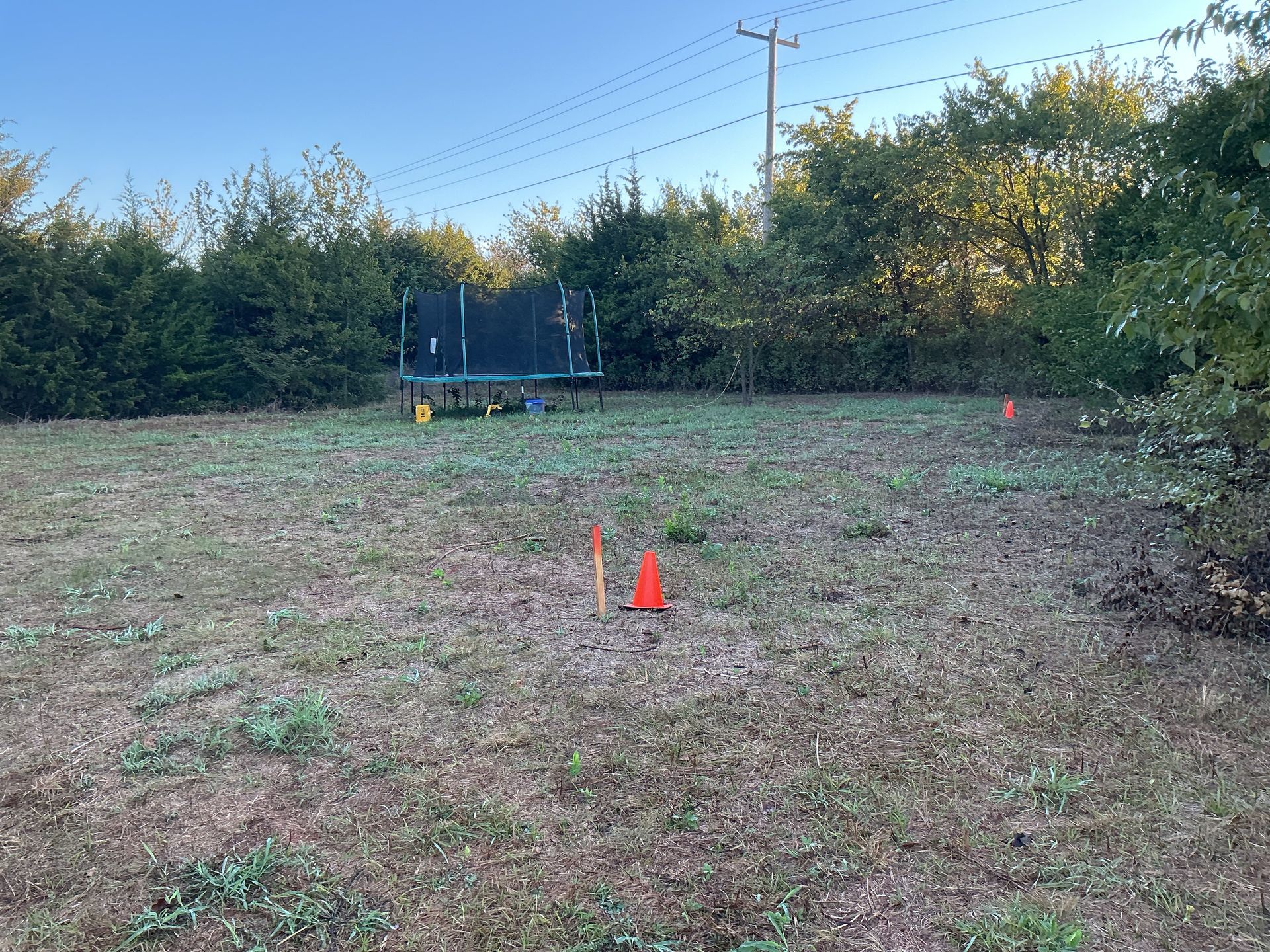 A grassy yard with a trampoline in the distance and orange cones marking a path. Power lines and trees in background.