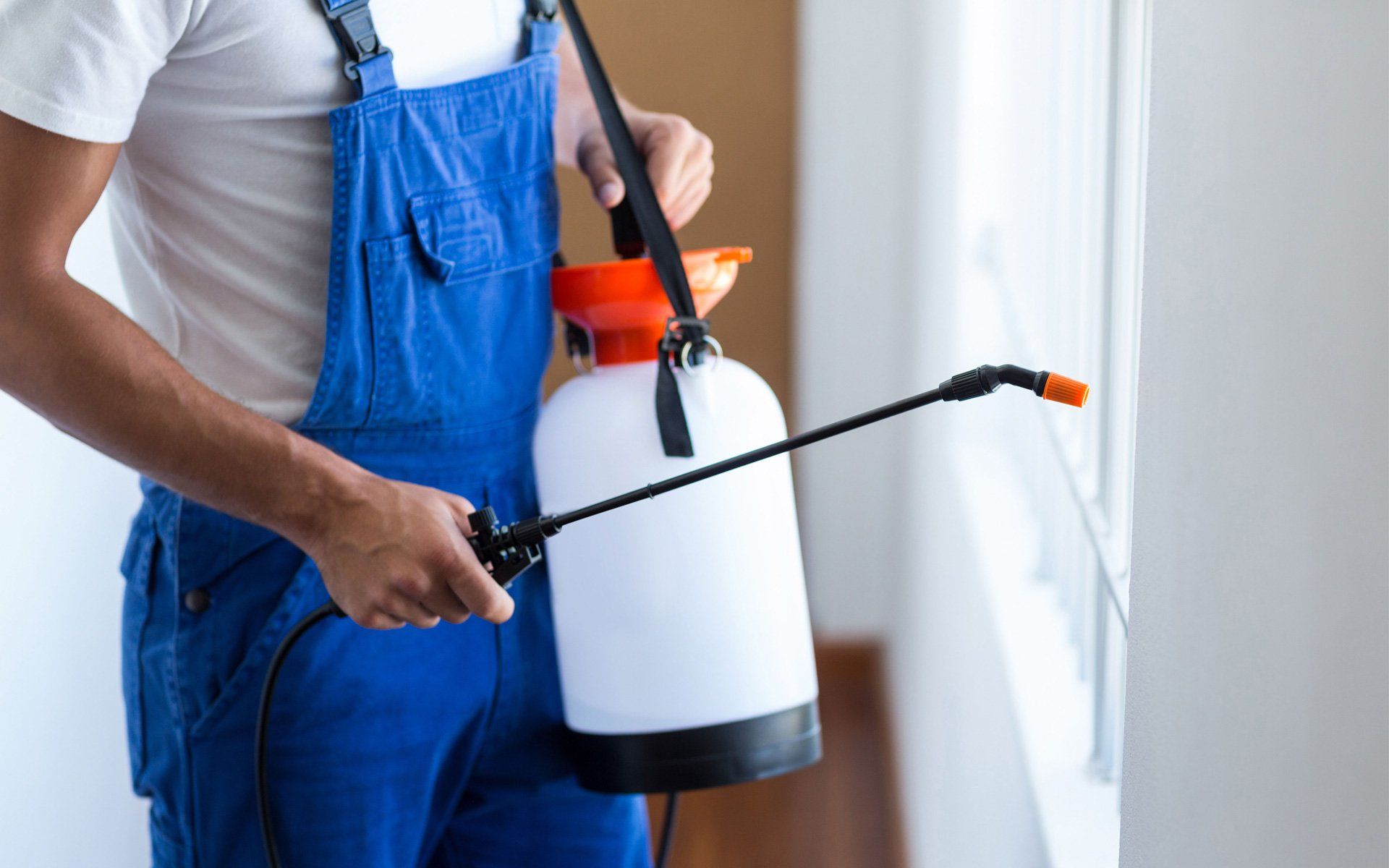 Contact 1 Pest Control Brooklyn, NY