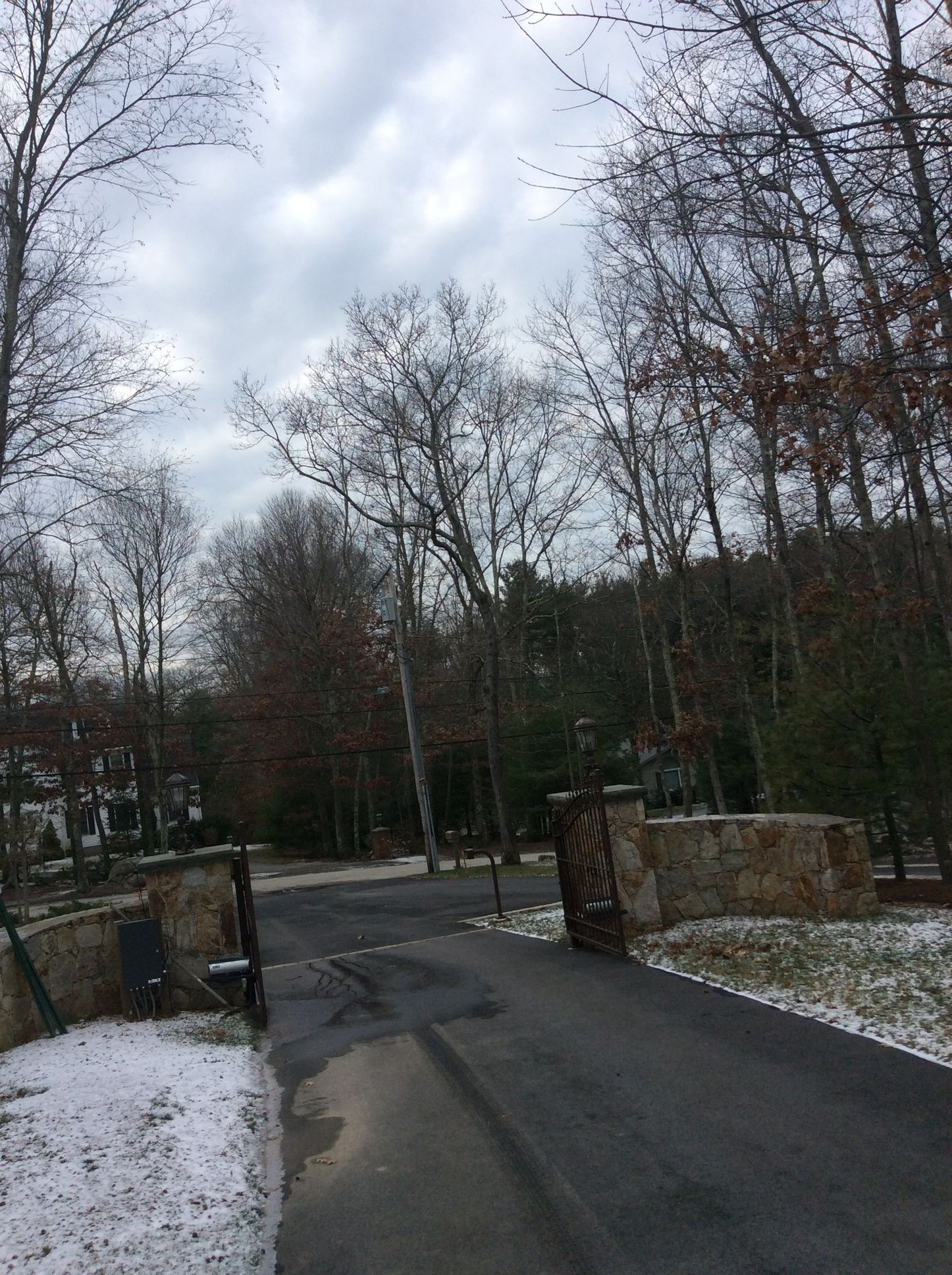 a road going through a forest with snow on the ground and trees without leaves