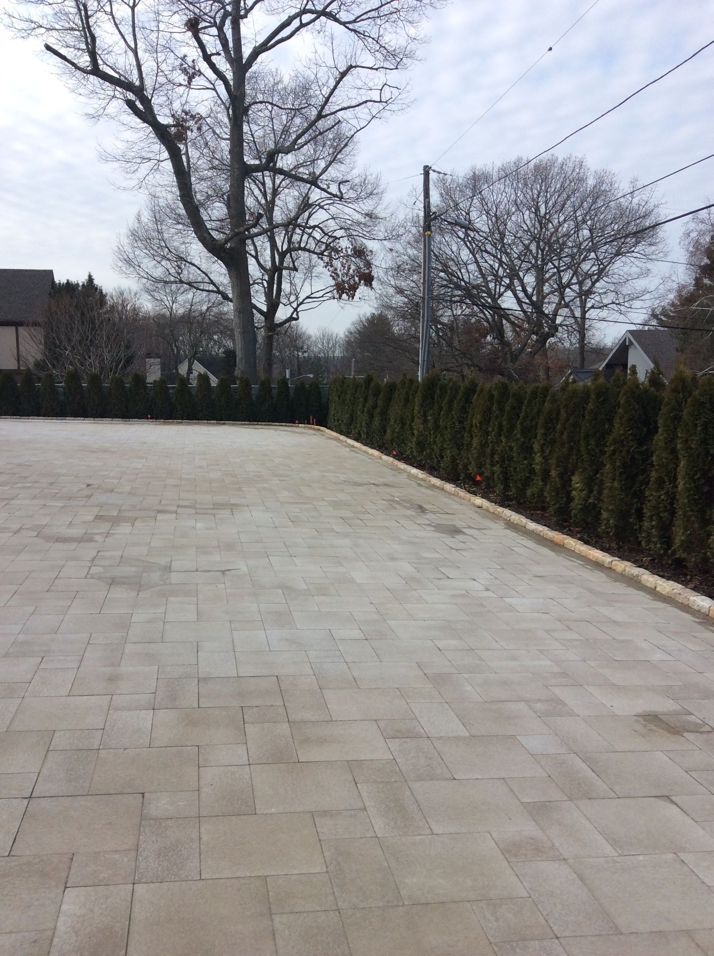 a brick driveway with trees on the side of it