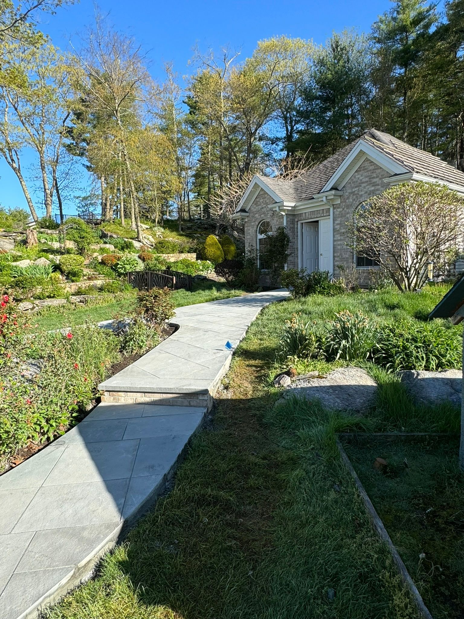 A path leading to a house surrounded by trees on a sunny day