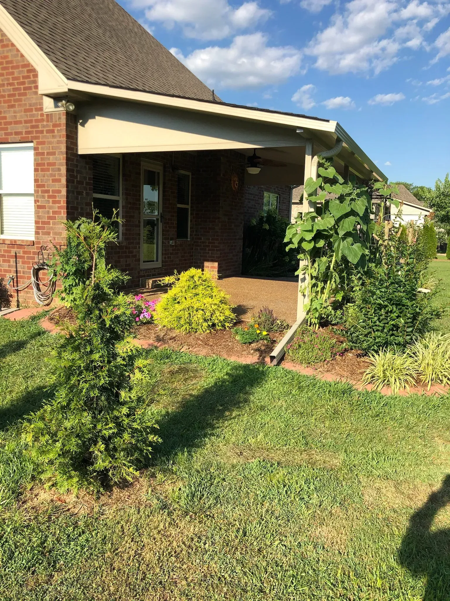 A covered porch of a brick house with landscaping and vines. Green grass and blue sky.