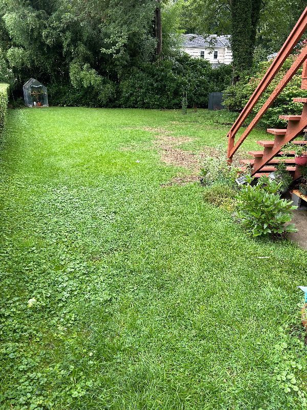 A lush green lawn with stairs in the background and a house in the background.