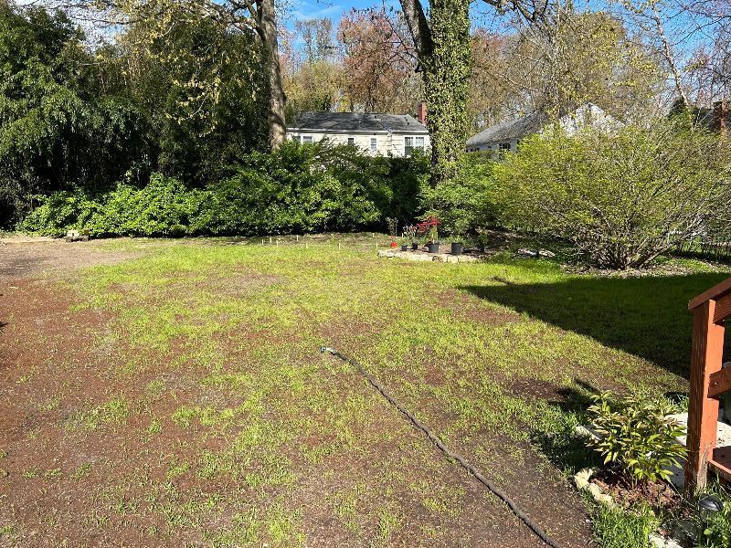 A driveway leading to a lush green yard with a house in the background.