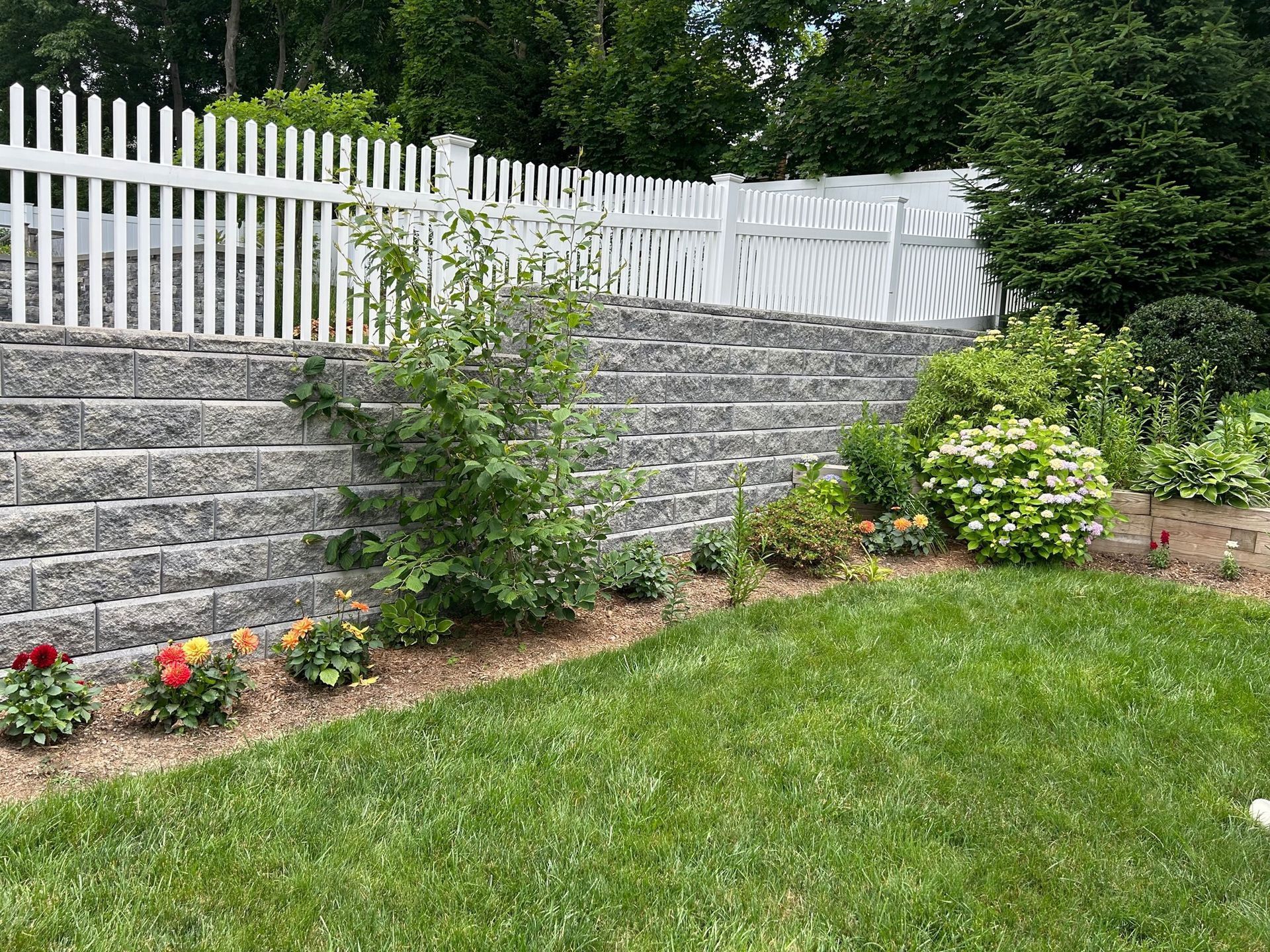 A white picket fence surrounds a stone wall in a backyard.