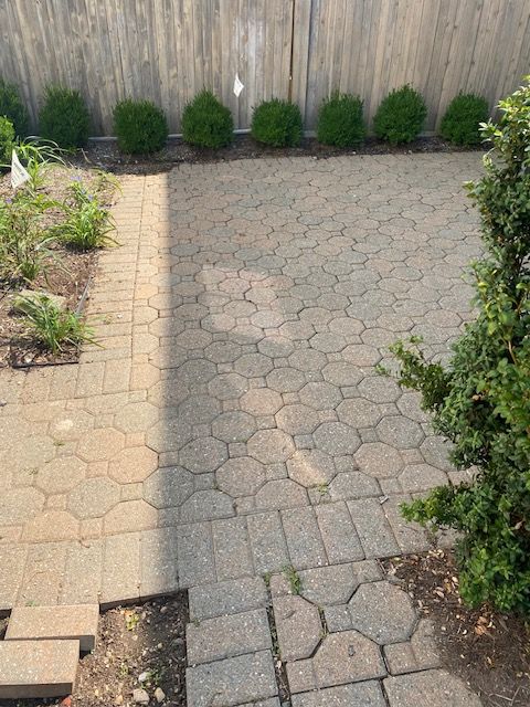 A brick walkway with a wooden fence in the background.