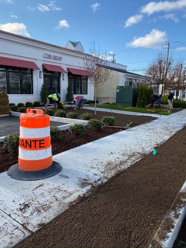 An orange and white cone with the word ante on it